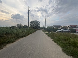 Teren 1178 mp deschidere 27 la drum asfaltat Copaceni, Ilfov